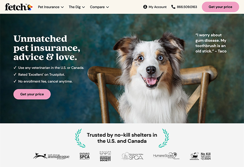Fetch pet insurance affiliate program with high per-lead payouts