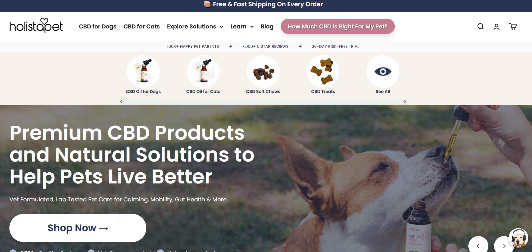 HolistaPet CBD and natural pet wellness affiliate program