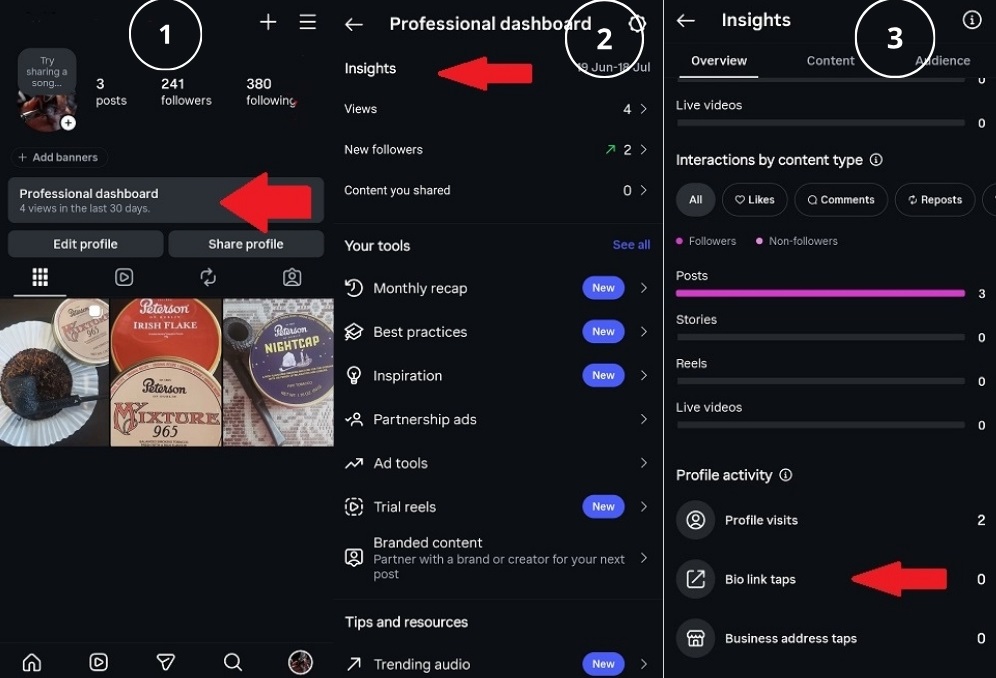 Instagram Insights showing bio link taps under Profile Activity