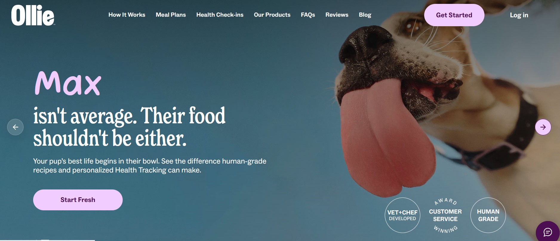 Ollie fresh dog food affiliate program, $60 flat commission per new subscriber
