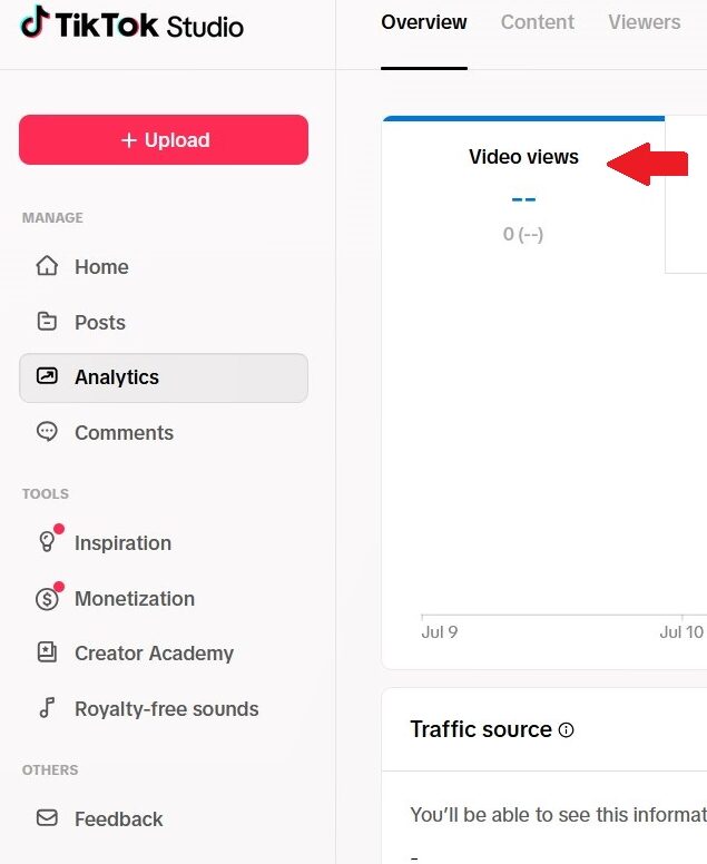 TikTok analytics traffic source breakdown showing the For You feed share for a recent video