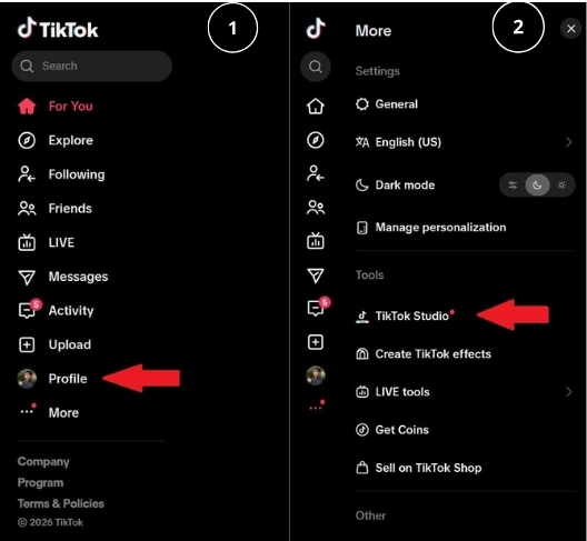TikTok Studio Account Check screen showing account status and any restricted posts