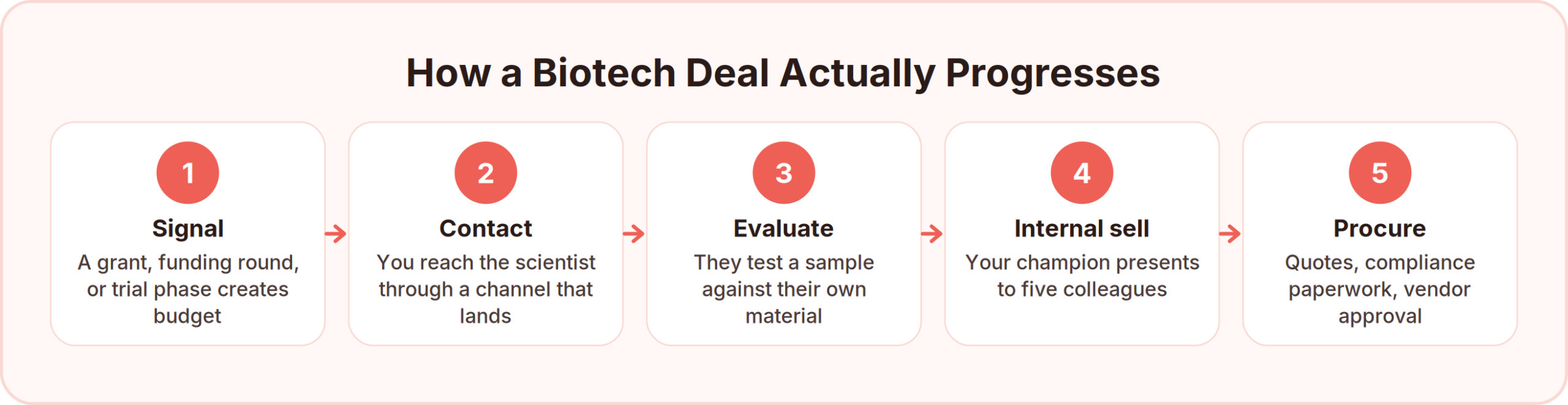 The five stages of a biotech purchase: a grant or funding round creates budget, you contact the scientist, the lab evaluates a sample against its own material, your champion sells internally to five colleagues, then procurement handles quotes and vendor approval