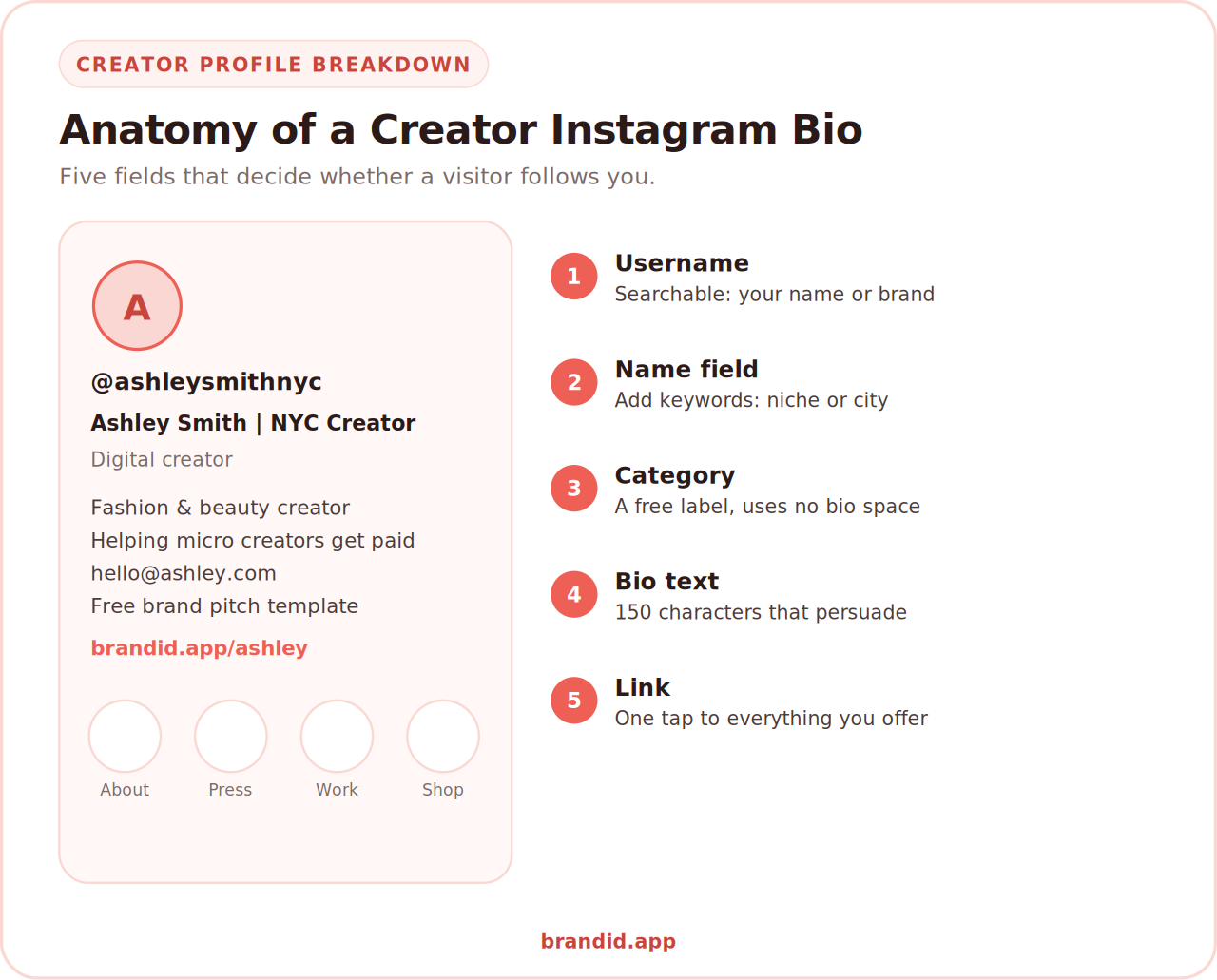 Anatomy of a creator Instagram bio infographic