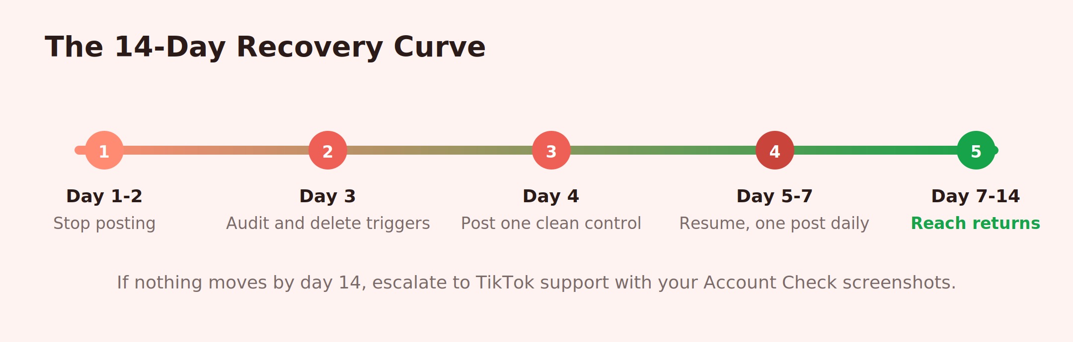 Timeline infographic showing a 14-day TikTok shadowban recovery: pause posting, audit and delete triggers, post a clean control video, resume slowly, then reach returns