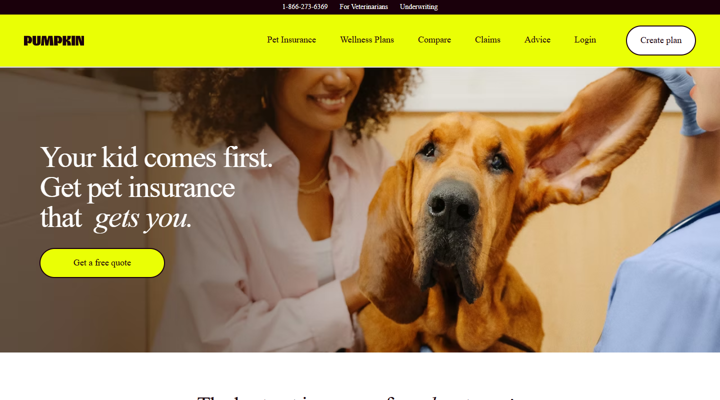 Pumpkin pet insurance homepage