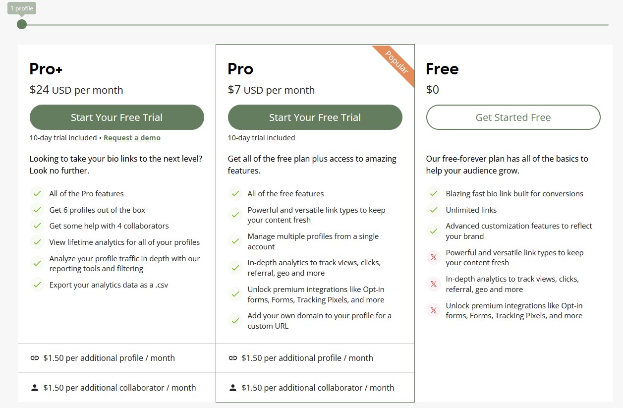 Campsite.bio pricing showing Free, Pro, Pro+, and Organization plans.