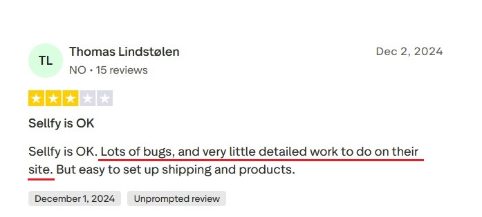 Trustpilot 3-star review by Thomas Lindstølen from Norway dated December 2, 2024.